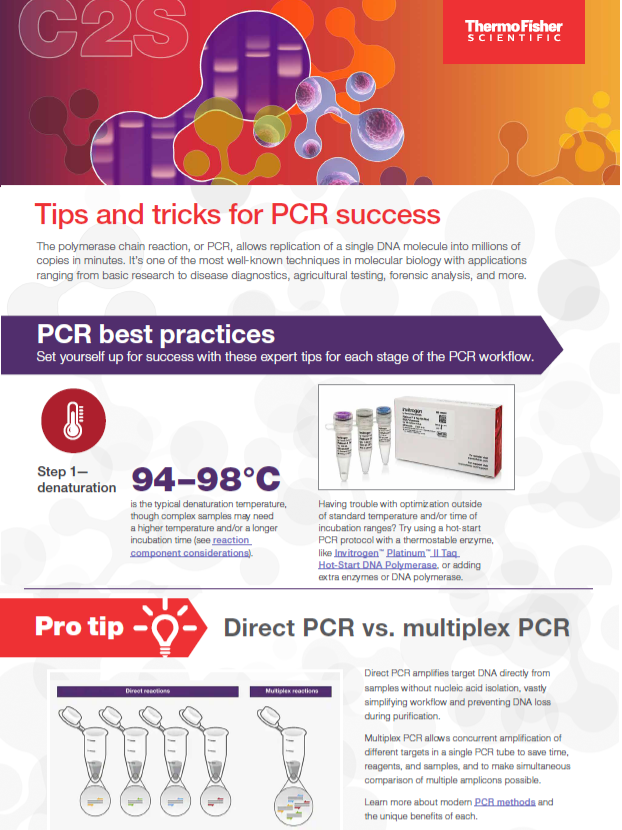 Thermo Fisher download PCR Infographic