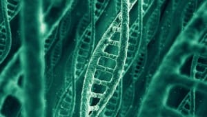 DNA Second Code
