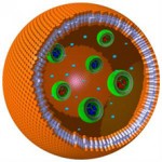 artificial polymer cell