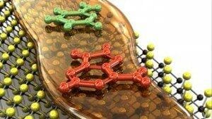 Liquid Viscosity DNA