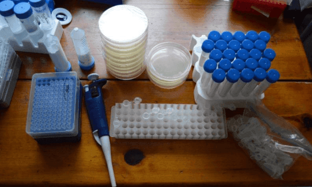 CRISPR Kit