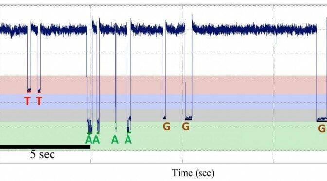 sequencing by synthtesis