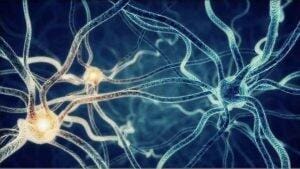 glaxosmithkline, bioelectronics, galvani bioelectronics