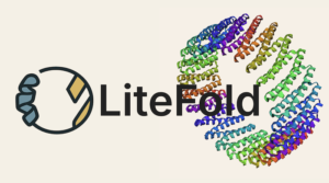 Litefold Protein Folding