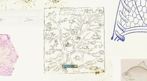 Biomni Lab Adds GeneCards Data to Power Grounded Biomedical AI Queries