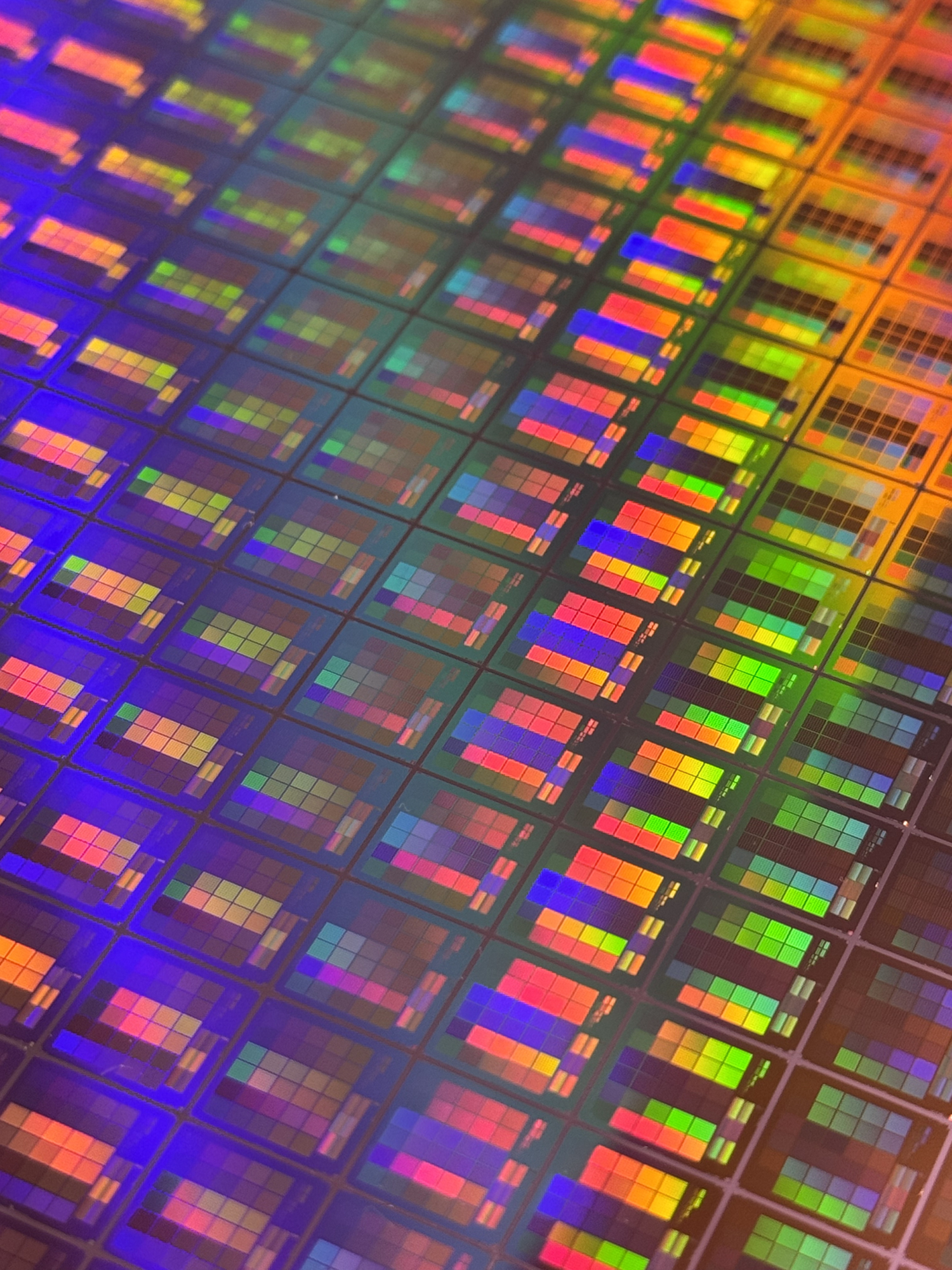 New Startup Pumpkinseed Aims to Read the Proteome Letter by Letter, on a Chip