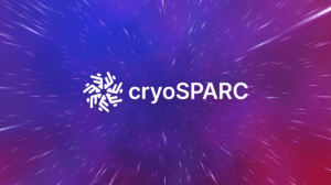 CryoSPARC